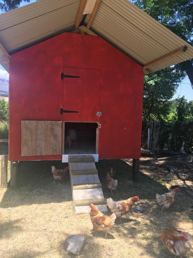 Sweetwater Guesthouse ويلينغتون المظهر الخارجي الصورة